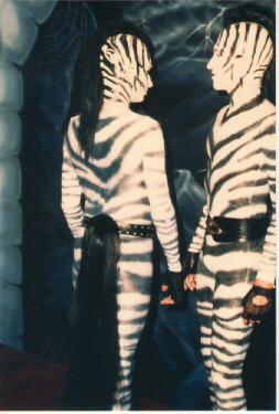 zebra1