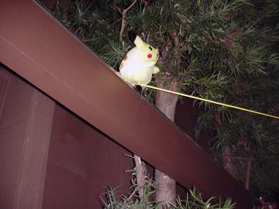 Pikachu on watch